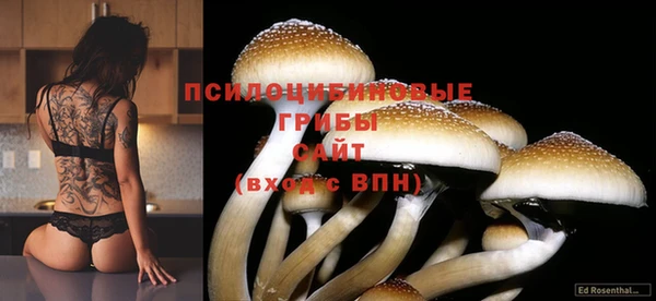 mdpv Балахна