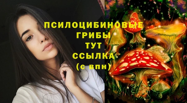дмт Баксан